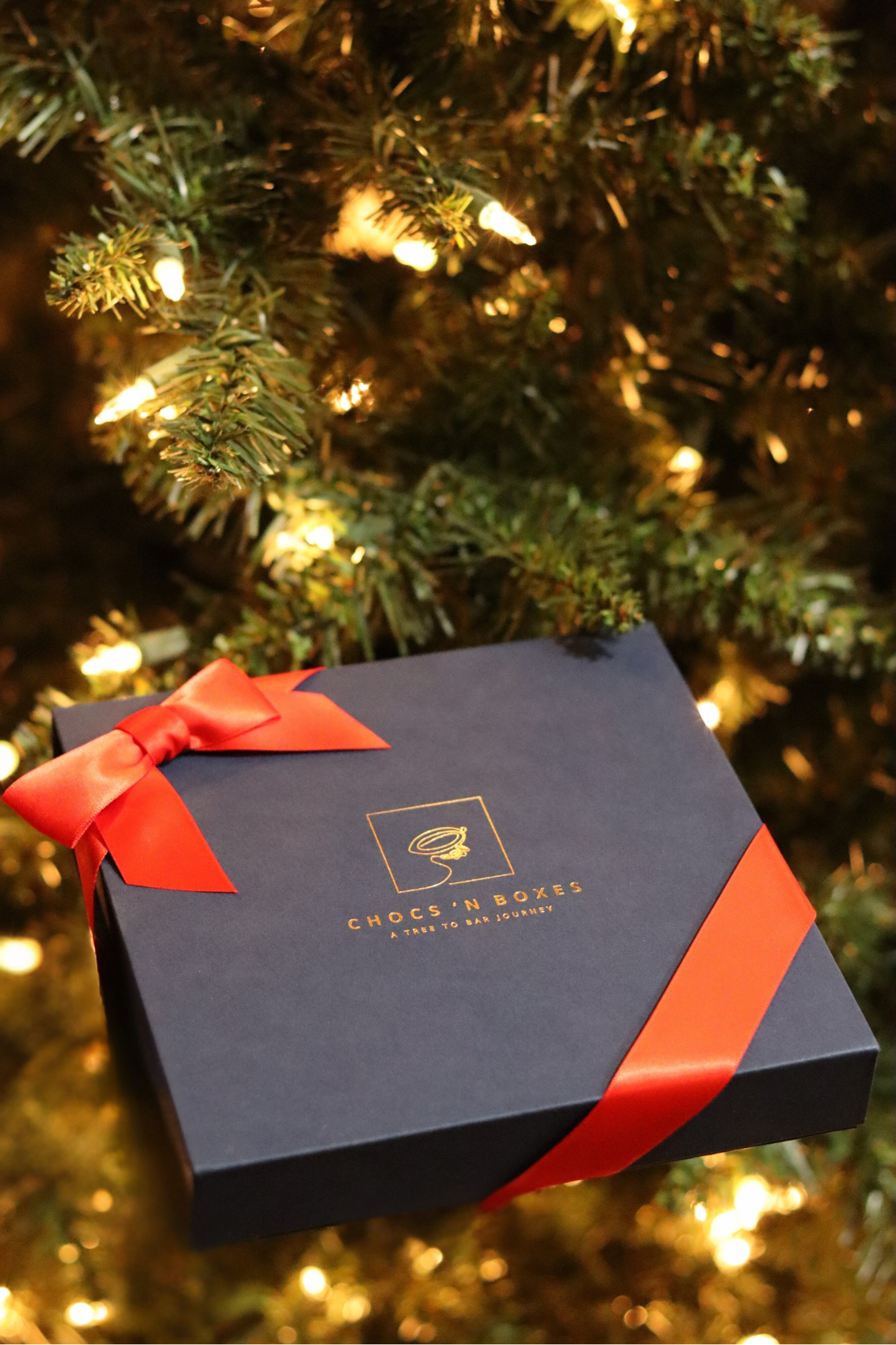 20241214_040401000_iOS